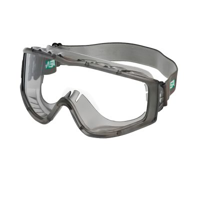 Lentes MSA Master ChemPro Claro